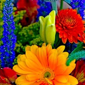 Meet your Posher, Cathy